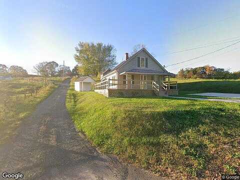 Vine, GALAX, VA 24333