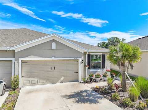 Mango Fade, SAN ANTONIO, FL 33576