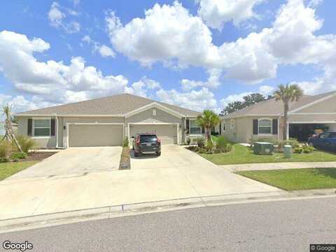 Mango Fade, SAN ANTONIO, FL 33576