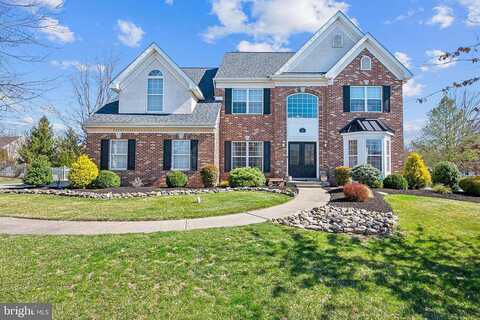 Splitleaf, COLLEGEVILLE, PA 19426