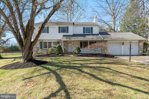 Bauman, AMBLER, PA 19002