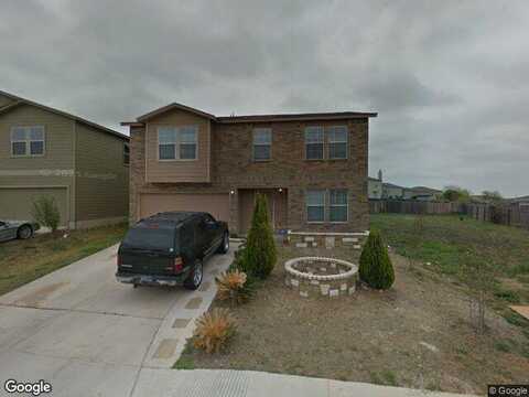 Shadbush, SAN ANTONIO, TX 78245
