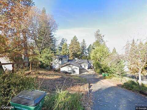 Mosquito, PLACERVILLE, CA 95667