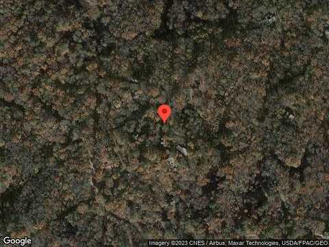 Elm, RABUN GAP, GA 30568