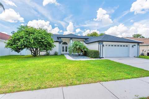 Calle Alta, NEW PORT RICHEY, FL 34655