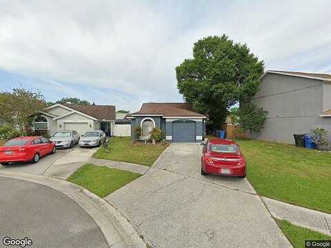 Twin Farms, TAMPA, FL 33635