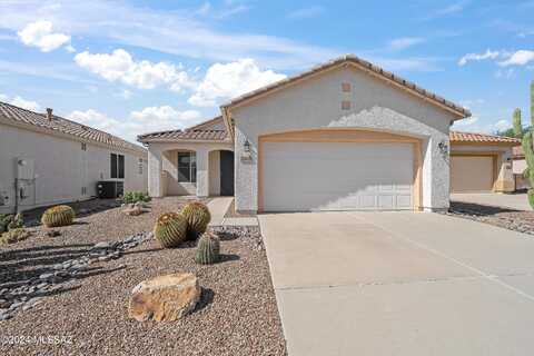 Summer Scene, TUCSON, AZ 85743