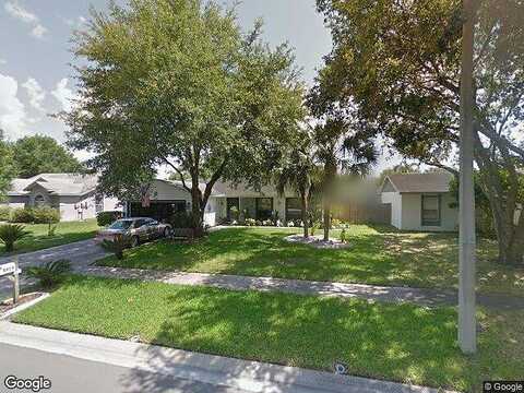 Silver Moon, TAMPA, FL 33625