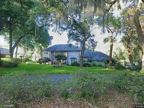 Camelia, SAINT AUGUSTINE, FL 32086