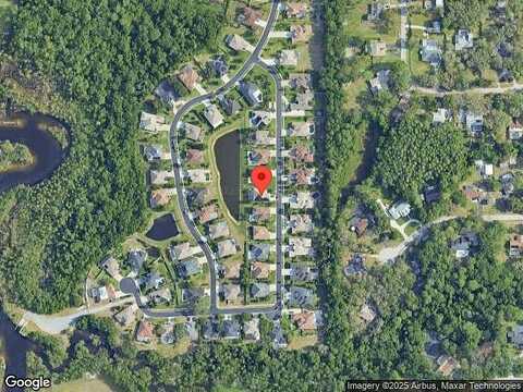 Nodding Thistle, NEW PORT RICHEY, FL 34655
