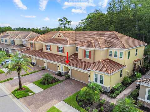 Terracina Chase, TAMPA, FL 33625