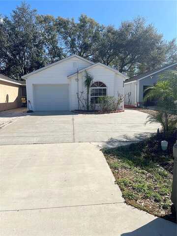 Venice, LAND O LAKES, FL 34639