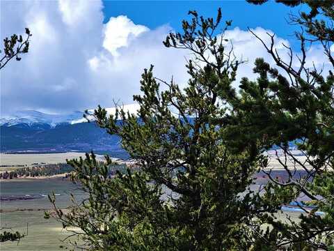 Middle Fork, FAIRPLAY, CO 80440
