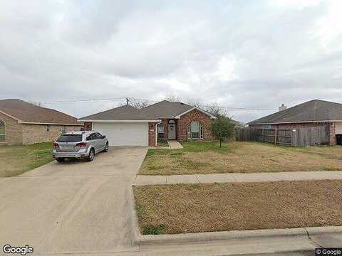 Bachelor Button, KILLEEN, TX 76549