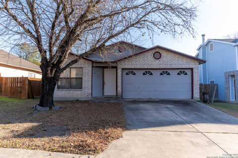 Tippecanoe, SAN ANTONIO, TX 78245