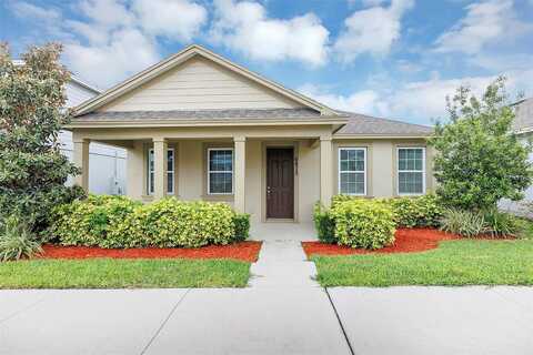 Makrut Lime, WINTER GARDEN, FL 34787