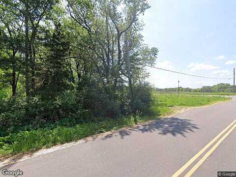 Genevieve, COTTAGE GROVE, MN 55016