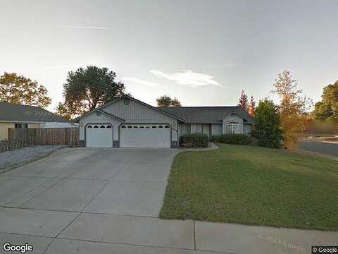 Dandelion, REDDING, CA 96002