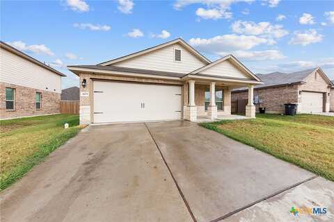 Saddleback, KILLEEN, TX 76542