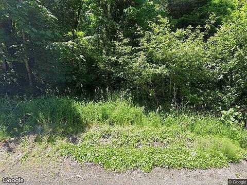 Westside, CASTLE ROCK, WA 98611