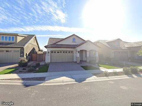 Canary, QUEEN CREEK, AZ 85142