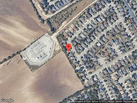 Weeping, CIBOLO, TX 78108
