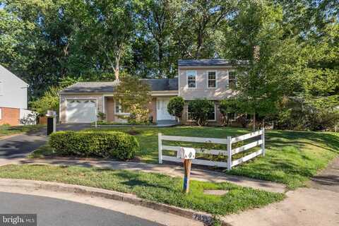 Saint George, SPRINGFIELD, VA 22153