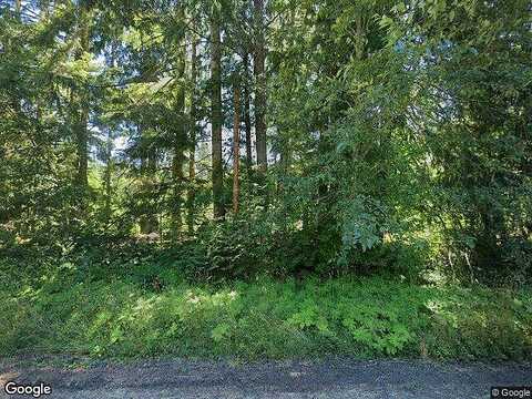 State Route 706, ASHFORD, WA 98304