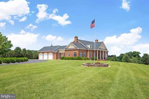 Rubinette, WINCHESTER, VA 22602