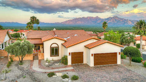 Manolito, GREEN VALLEY, AZ 85622