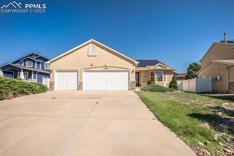 Thrasher, PUEBLO, CO 81008