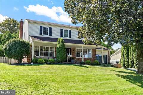 Sue Ellen, HAVERTOWN, PA 19083