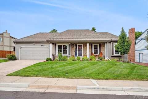Datura, LITTLETON, CO 80120