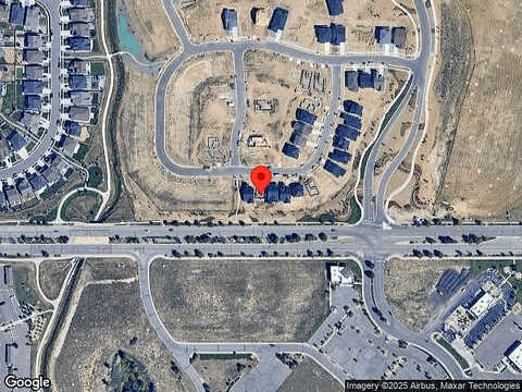 Boral Owl, BRIGHTON, CO 80601