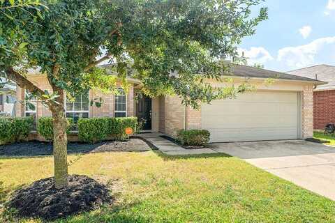 Mt Elbrus, KATY, TX 77449