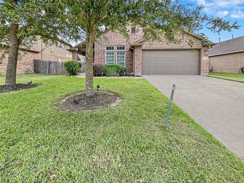David Hill, HOCKLEY, TX 77447
