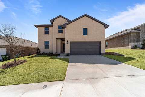 Richardson Street, Howe, TX 75459