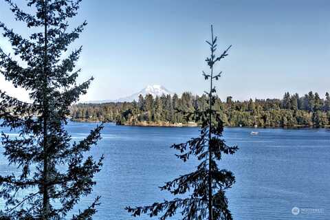Dana, SHELTON, WA 98584