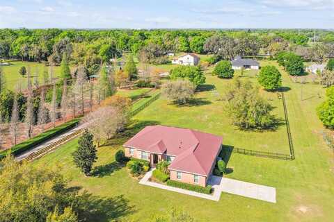 Timmons, THONOTOSASSA, FL 33592