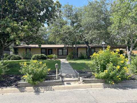 Hickory, DEVINE, TX 78016