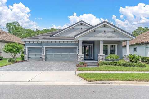 Night Star, ODESSA, FL 33556