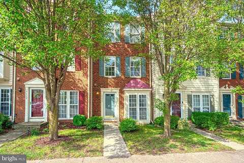 Potter, ASHBURN, VA 20147