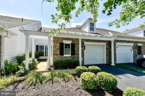 Maltese Falcon, ASHBURN, VA 20147