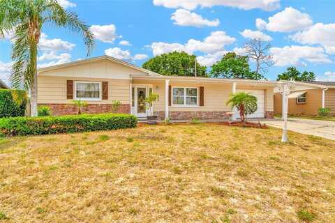 Ridgefield, HOLIDAY, FL 34691