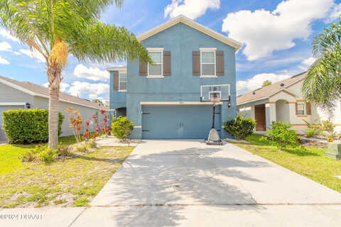 Taton, NEW SMYRNA BEACH, FL 32168
