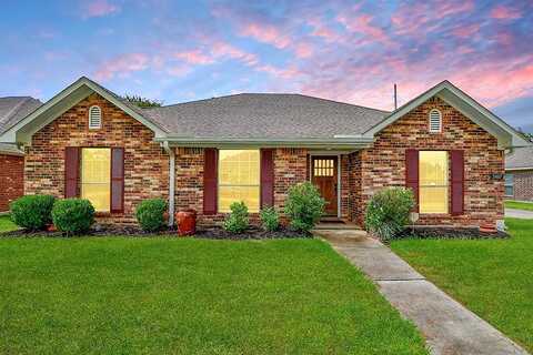 Saddlebred, MANVEL, TX 77578