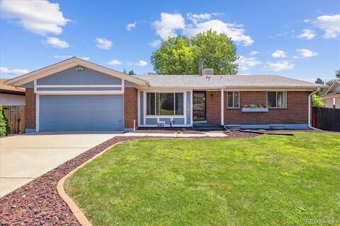 Yank, LAKEWOOD, CO 80228