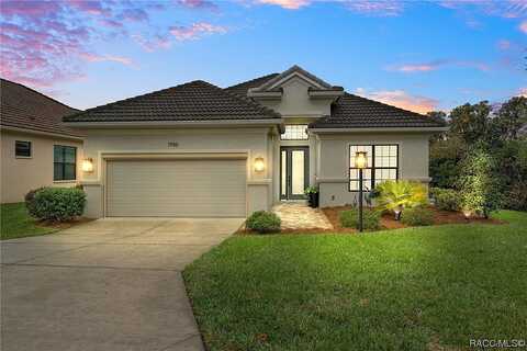 Ember, HERNANDO, FL 34442
