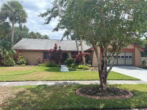 Round Oak, TAMPA, FL 33618