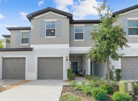 Cassius, LUTZ, FL 33549